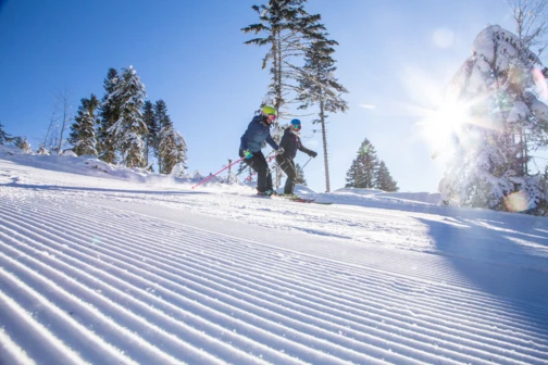 HOTEL FOUR SEASONS ***