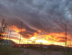 Pokój rodzinny z widokiem na ogród