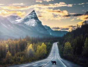 Pokój rodzinny z widokiem na ogród dom