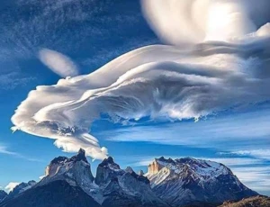 Pokój rodzinny z widokiem na ogród dom