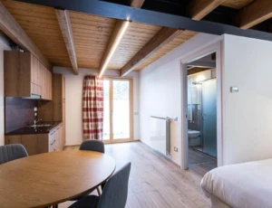 Apartament Mono 2-3 osobowy