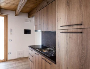 Apartament Mono 2-3 osobowy