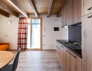 Apartament Mono 2-3 osobowy